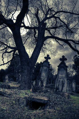 Moon-Tree-Cemetery-03A.jpg (219925 bytes)